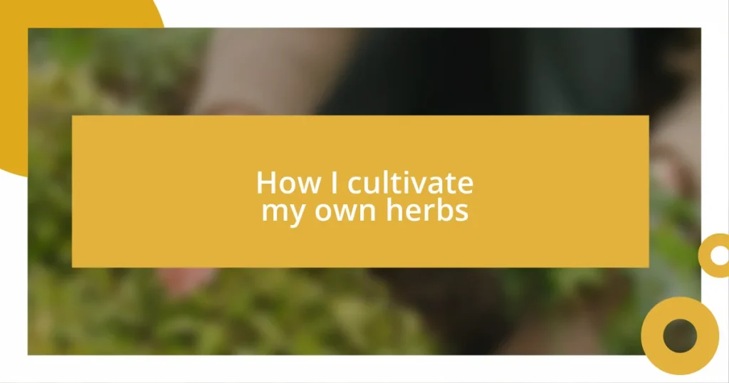 How I cultivate my own herbs