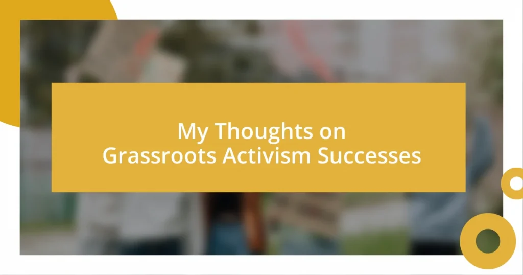 My Thoughts on Grassroots Activism Successes